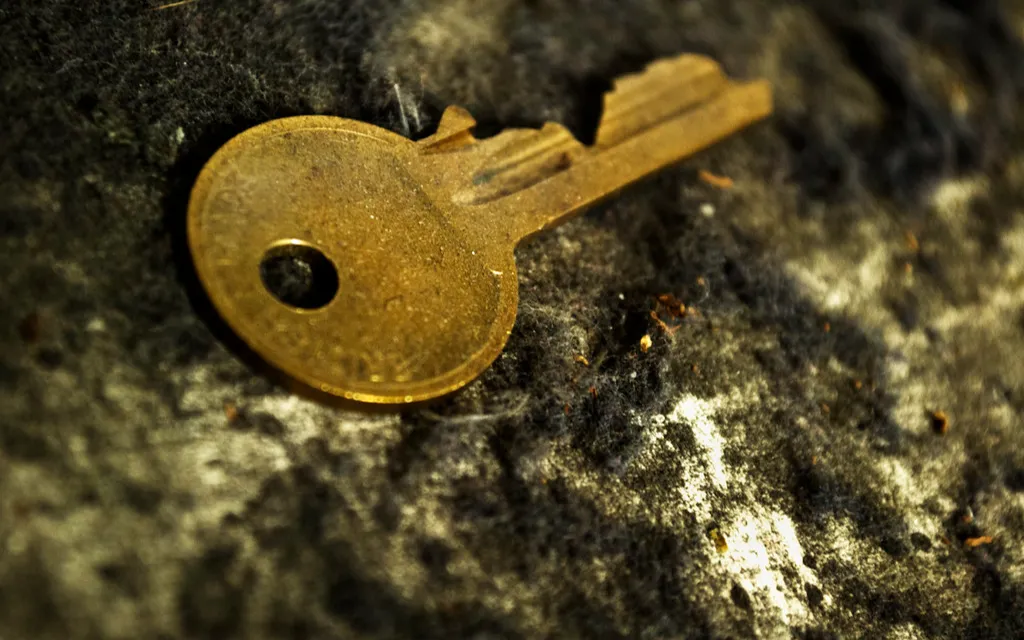 A single brass house key lying on a dusty carpet